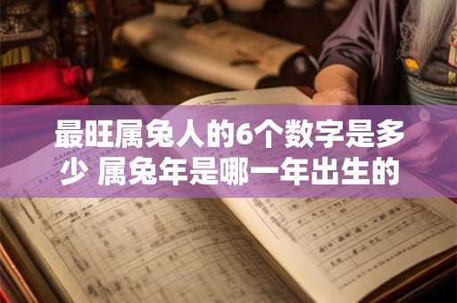 最旺属兔人的6个数字是多少 属兔年是哪一年出生的 最旺属兔人的6个数字是多少 属兔年是哪一年出生的