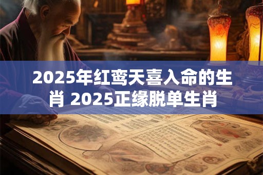2025年红鸾天喜入命的生肖 2025正缘脱单生肖