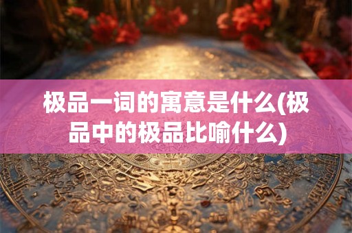 极品一词的寓意是什么(极品中的极品比喻什么)