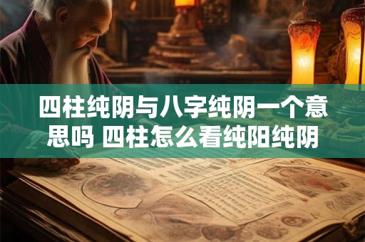 四柱纯阴与八字纯阴一个意思吗 四柱怎么看纯阳纯阴