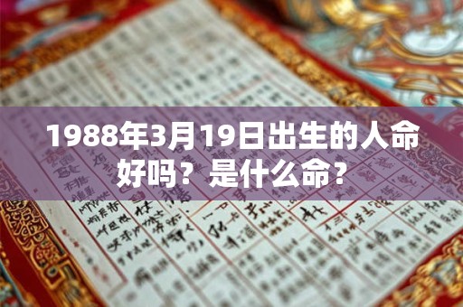 1988年3月19日出生的人命好吗？是什么命？