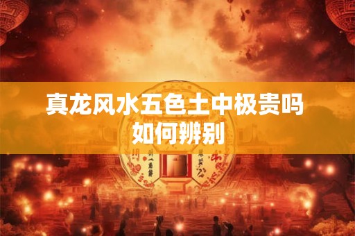 真龙风水五色土中极贵吗 如何辨别 真龙风水五色土中极贵吗 如何辨别