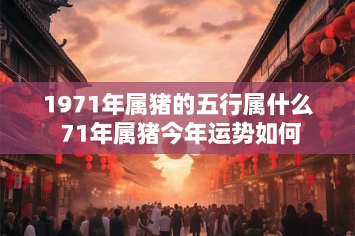 1971年属猪的五行属什么 71年属猪今年运势如何
