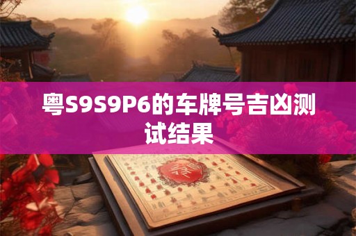 粤S9S9P6的车牌号吉凶测试结果