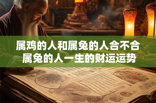 属鸡的人和属兔的人合不合 属兔的人一生的财运运势如何