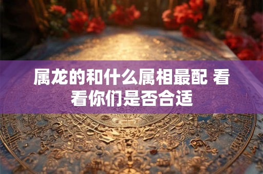 属龙的和什么属相最配 看看你们是否合适