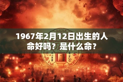 1967年2月12日出生的人命好吗？是什么命？
