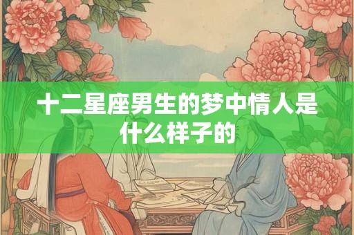 十二星座男生的梦中情人是什么样子的