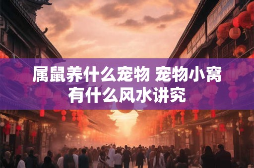 属鼠养什么宠物 宠物小窝有什么风水讲究