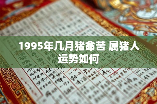 1995年几月猪命苦 属猪人运势如何