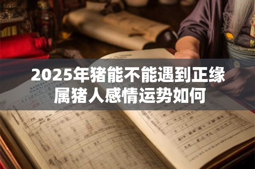 2025年猪能不能遇到正缘 属猪人感情运势如何 2025年猪能不能遇到正缘 属猪人感情运势如何
