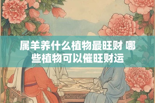 属羊养什么植物最旺财 哪些植物可以催旺财运