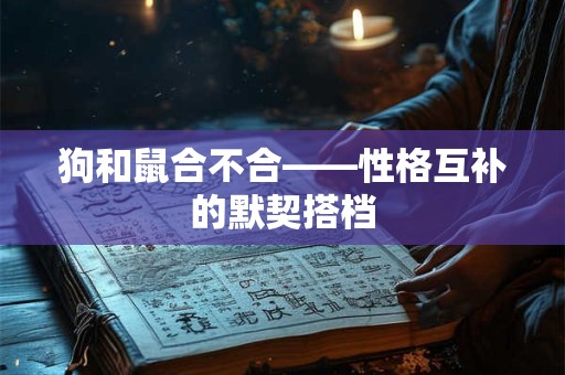 狗和鼠合不合——性格互补的默契搭档