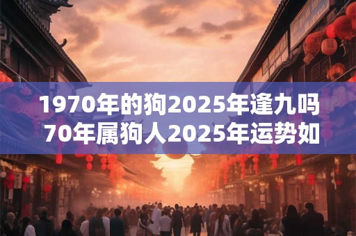 1970年的狗2025年逢九吗 70年属狗人2025年运势如何