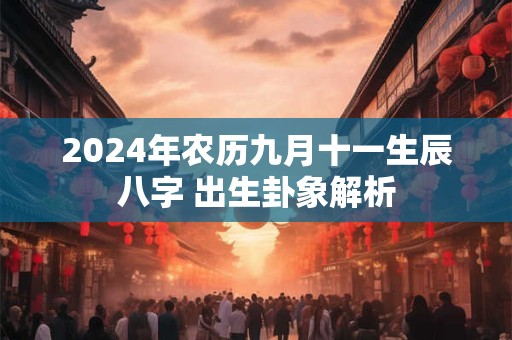 2024年农历九月十一生辰八字 出生卦象解析