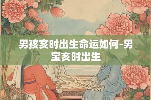 男孩亥时出生命运如何-男宝亥时出生