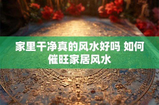 家里干净真的风水好吗 如何催旺家居风水