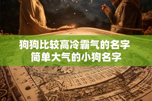 狗狗比较高冷霸气的名字 简单大气的小狗名字
