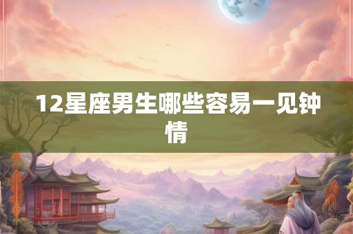 12星座男生哪些容易一见钟情