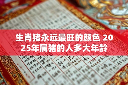 生肖猪永远最旺的颜色 2025年属猪的人多大年龄