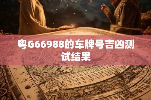 粤G66988的车牌号吉凶测试结果