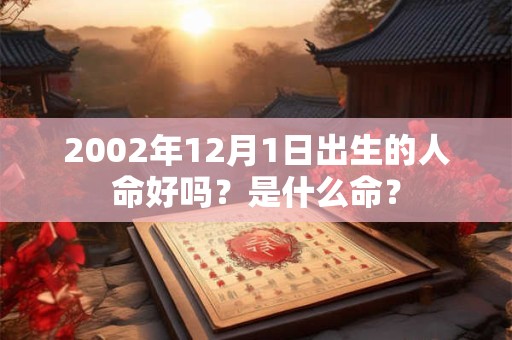 2002年12月1日出生的人命好吗？是什么命？
