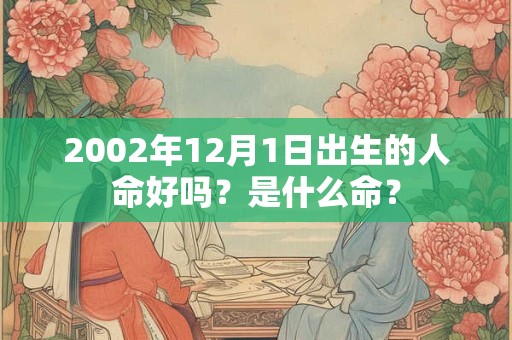 2002年12月1日出生的人命好吗？是什么命？