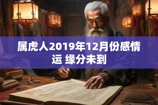 属虎人2019年12月份感情运 缘分未到 属虎人2019年12月份感情运 缘分未到