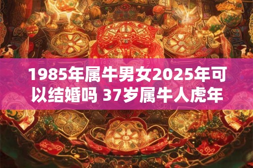 1985年属牛男女2025年可以结婚吗 37岁属牛人虎年结婚要注意什么
