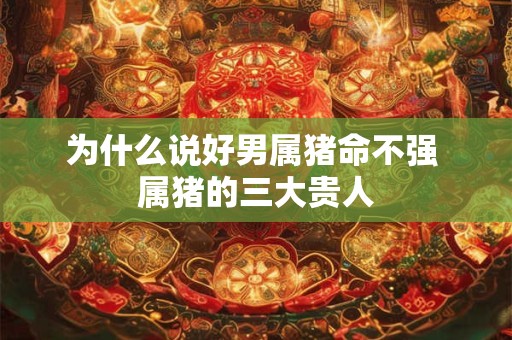 为什么说好男属猪命不强 属猪的三大贵人