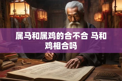 属马和属鸡的合不合 马和鸡相合吗