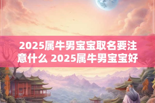 2025属牛男宝宝取名要注意什么 2025属牛男宝宝好听的名字