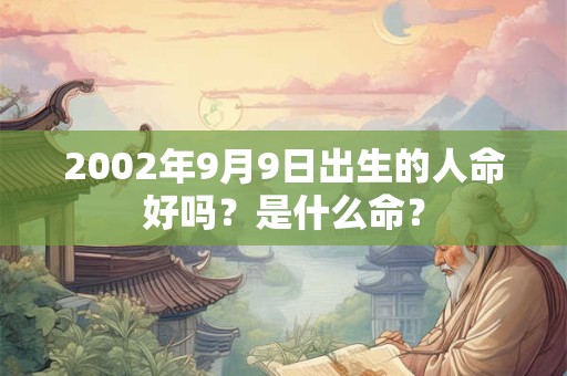 2002年9月9日出生的人命好吗？是什么命？