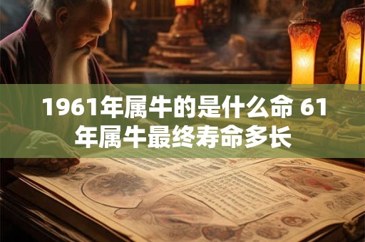 1961年属牛的是什么命 61年属牛最终寿命多长