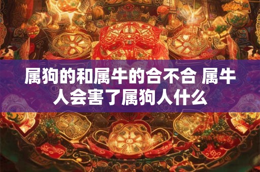 属狗的和属牛的合不合 属牛人会害了属狗人什么