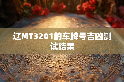 辽MT3201的车牌号吉凶测试结果