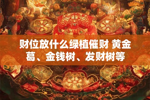 财位放什么绿植催财 黄金葛、金钱树、发财树等