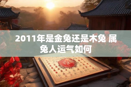 2011年是金兔还是木兔 属兔人运气如何