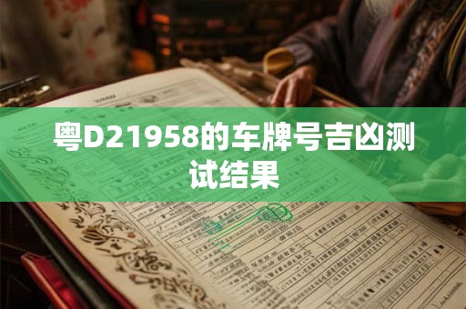 粤D21958的车牌号吉凶测试结果