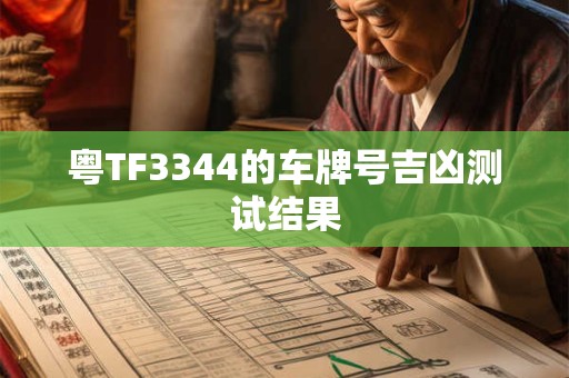 粤TF3344的车牌号吉凶测试结果