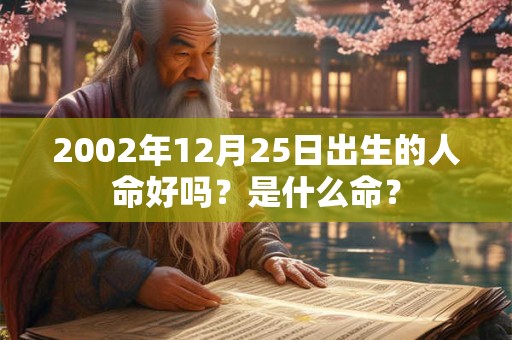 2002年12月25日出生的人命好吗？是什么命？