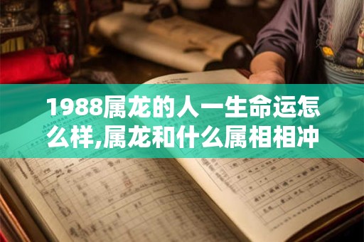 1988属龙的人一生命运怎么样,属龙和什么属相相冲