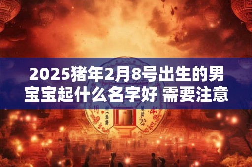 2025猪年2月8号出生的男宝宝起什么名字好 需要注意什么