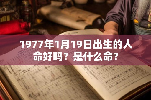 1977年1月19日出生的人命好吗？是什么命？