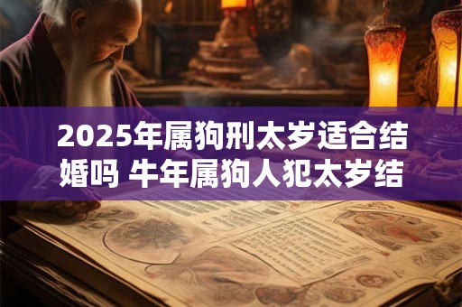 2025年属狗刑太岁适合结婚吗 牛年属狗人犯太岁结婚好不好