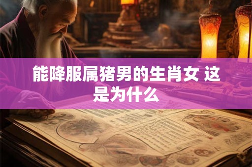 能降服属猪男的生肖女 这是为什么