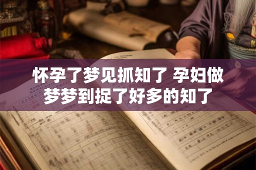 怀孕了梦见抓知了 孕妇做梦梦到捉了好多的知了
