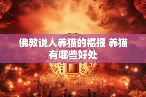 佛教说人养猫的福报 养猫有哪些好处