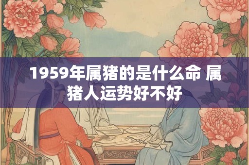 1959年属猪的是什么命 属猪人运势好不好