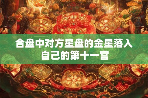 合盘中对方星盘的金星落入自己的第十一宫